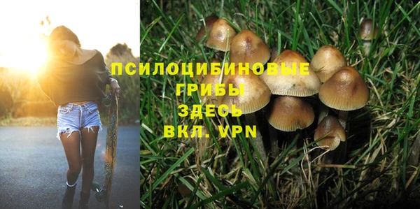 первитин Абаза