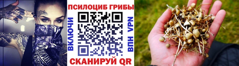 Псилоцибиновые грибы мухоморы МЕГА зеркало Владикавказ как найти закладки